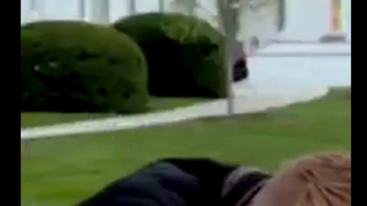 A bird lands on Doocy’s head live on TV 😂