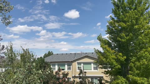 A wonderful day in the neighborhood