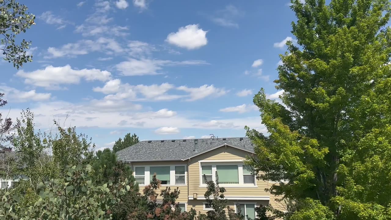 A wonderful day in the neighborhood