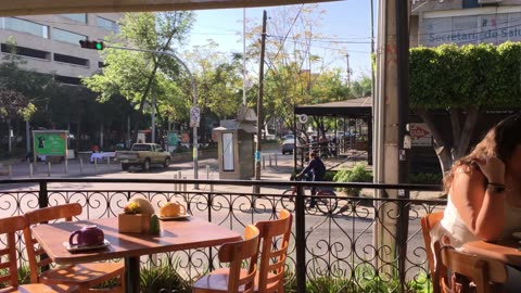Chapultapec Avenue (Guadalajara, Jalisco, Mexico) 1