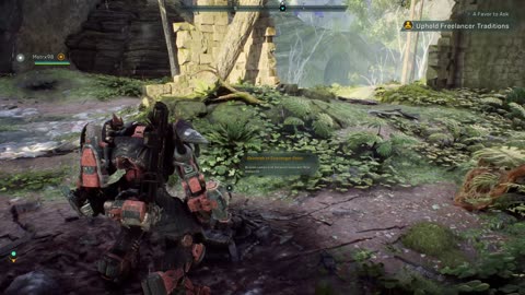 Anthem-Freelancer Stories