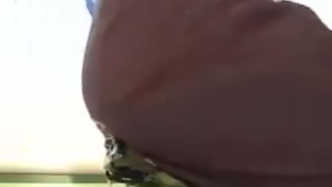 Butt Crush Banana