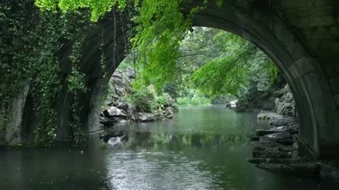 The beautiful little river is raining