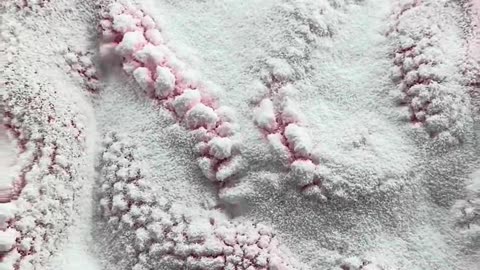 White Slime Powder 🌨️