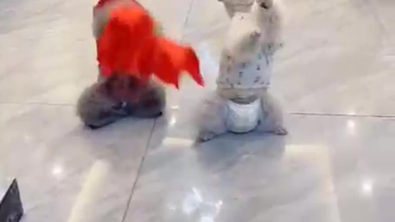 Dance ensemble