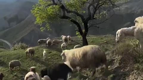Beautiful Dagestan