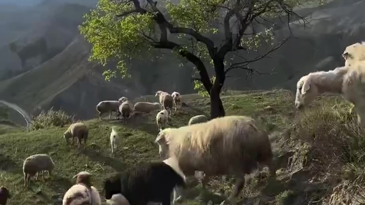 Beautiful Dagestan