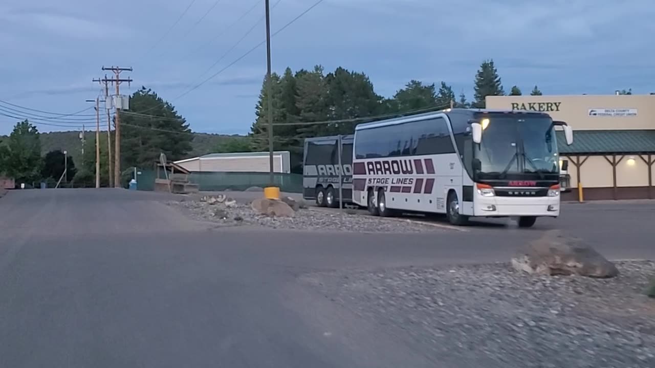 WTF
