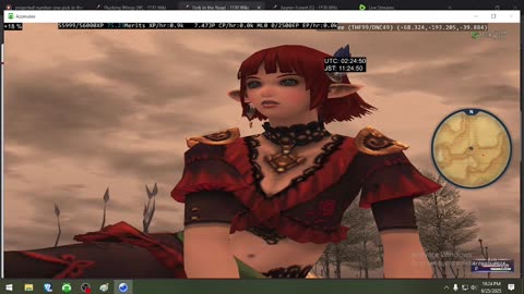 Playing Final Fantasy XI Online