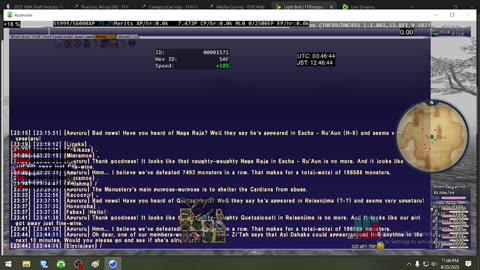 Playing Final Fantasy XI Online