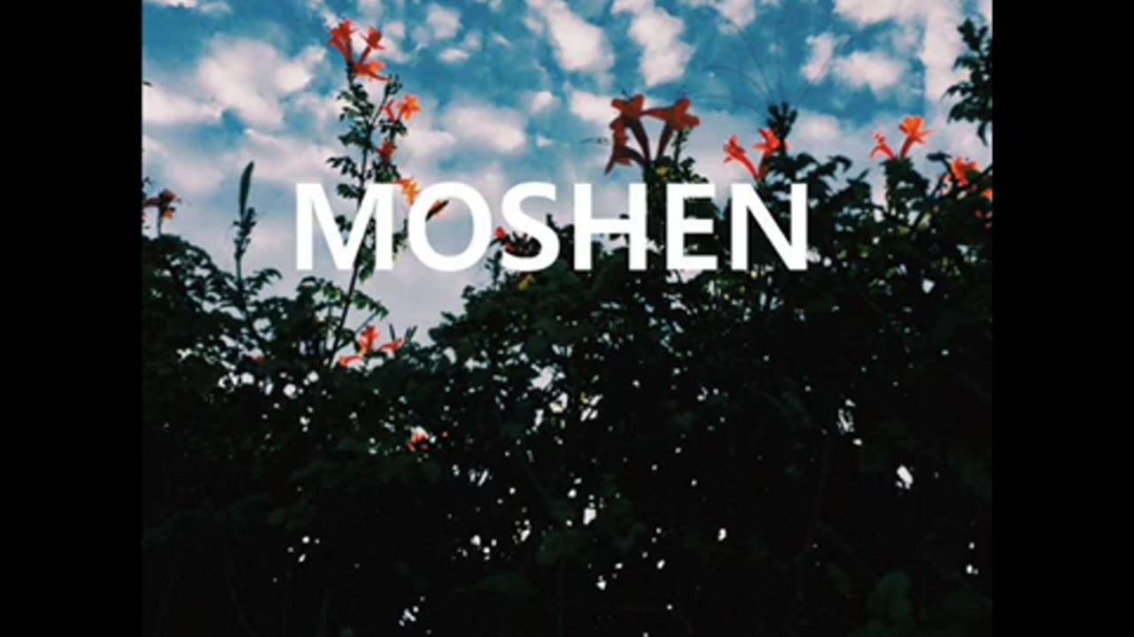 The Forbin Project - Moshen