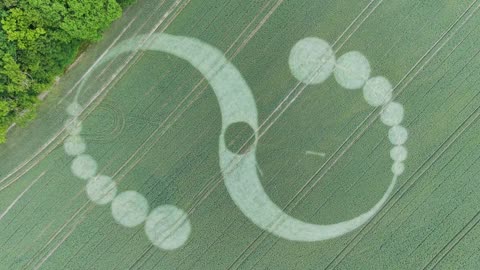 Crop Circle - 23 juin 2025, Charlton, Shaftesbury 4K
