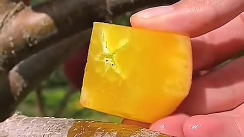 The Most Satisfying Fruit Cut You’ll See Today! 🔥🥭