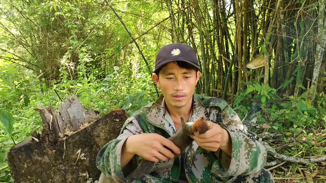 Hunting wild Birds and cooking At the Jungle with Airgun