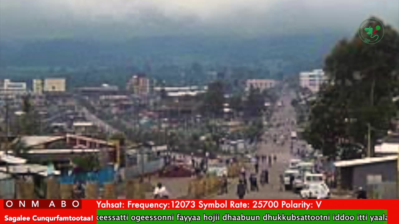 Oduu Waaree ONM-ABO Caamsaa 14-2025 itti dhiyaadhaa!