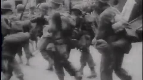 GRASSHOPPER PLANES ON BOUGAINVILLE