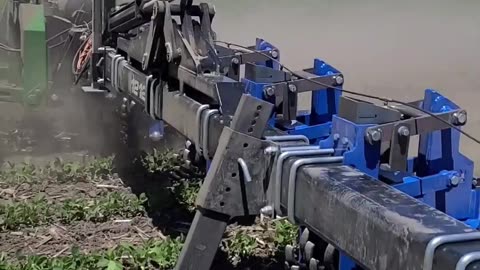 Throwing In with the Swinging Spider w/ Down Pressure #cultivators #farmequipment #weedcontrol