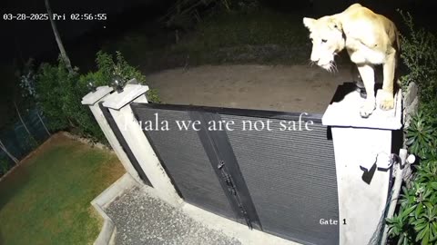 Neighborhood security reporting for duty