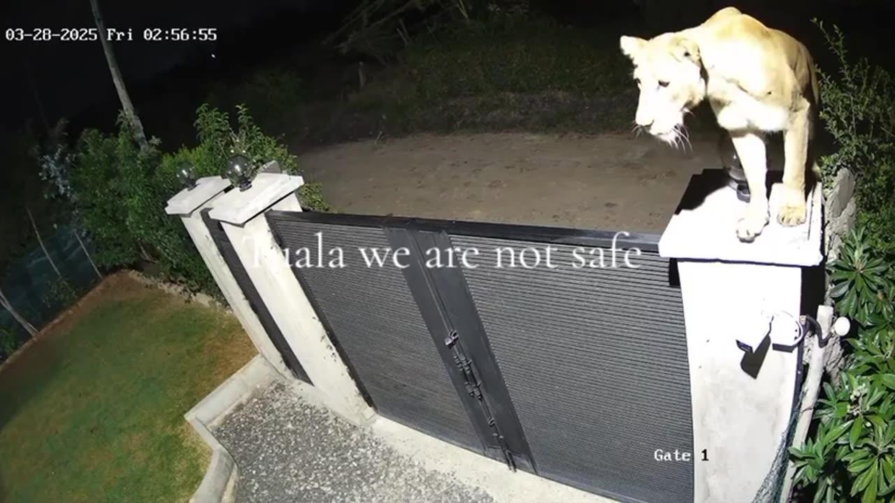 Neighborhood security reporting for duty