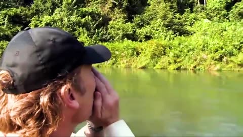 Animals Reunited With Owners After Years !