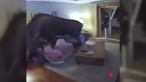 WTF. Wait For It...!!!