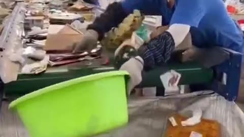 Fake "dog food"