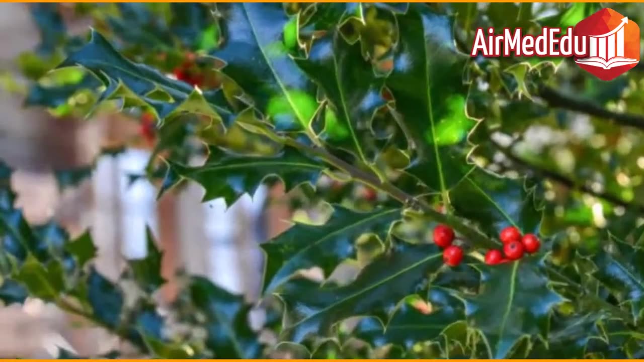 45 Beneficios de la Congorosa