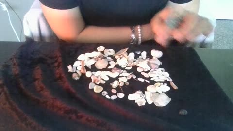 Psychic 13 signs seashell reading (new)