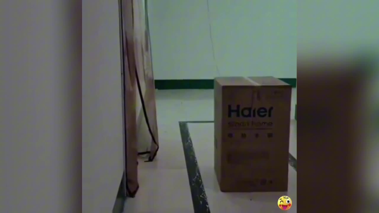 Wait for It… 😂😂