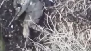 Thank You for Your Service