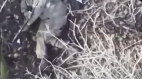 Thank You for Your Service