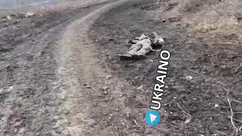 Ukraine war combat footage 8/12/25