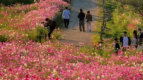 "Secret Garden Tour | Hidden Gem Full of Flowers!"