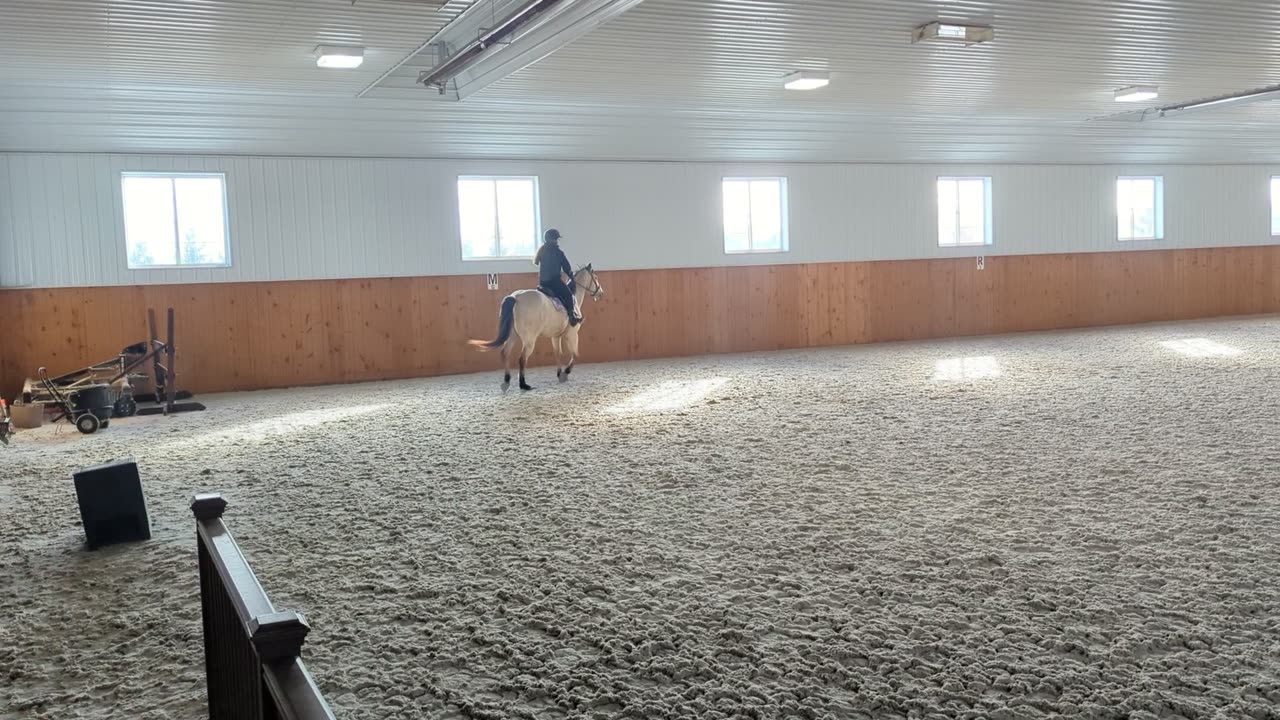 Practice February 2024