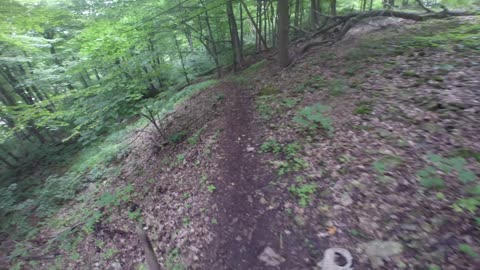 Hike up and down the mountain and backyard tour