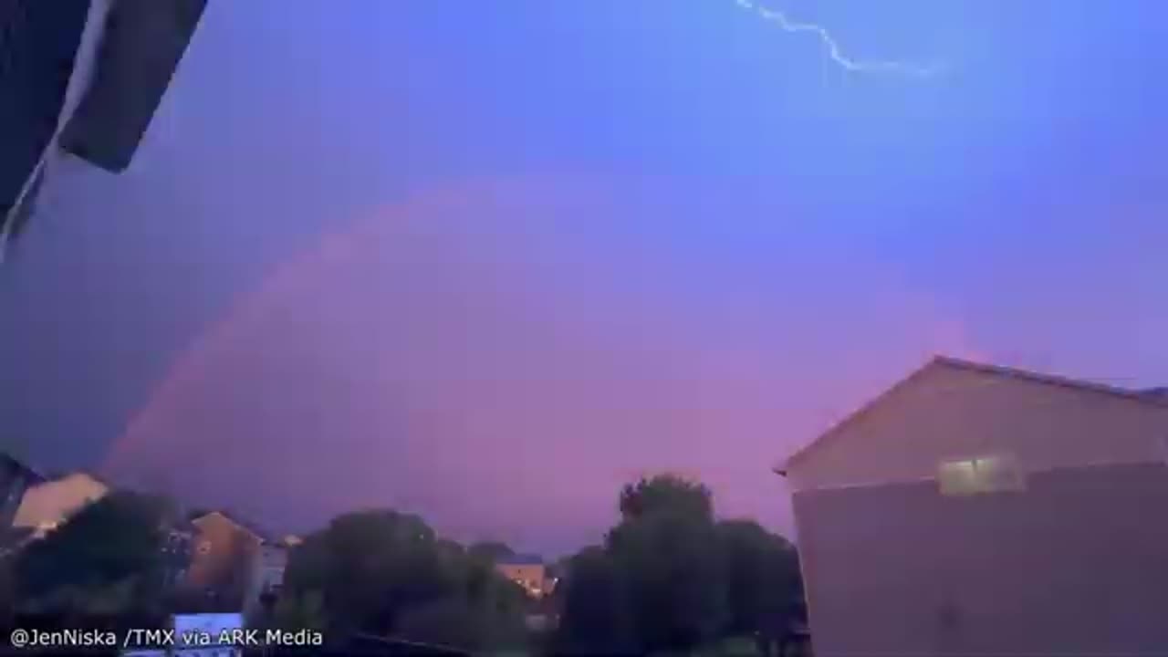 This Is Your Daily Dose Of Internet