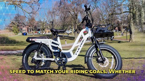FUCARE Libra Electric Bicycle 750W 48V 20AH Lithium Battery 20-inch Tire Mountain E-bike