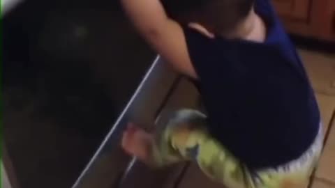 Funny Video 😂😂😂