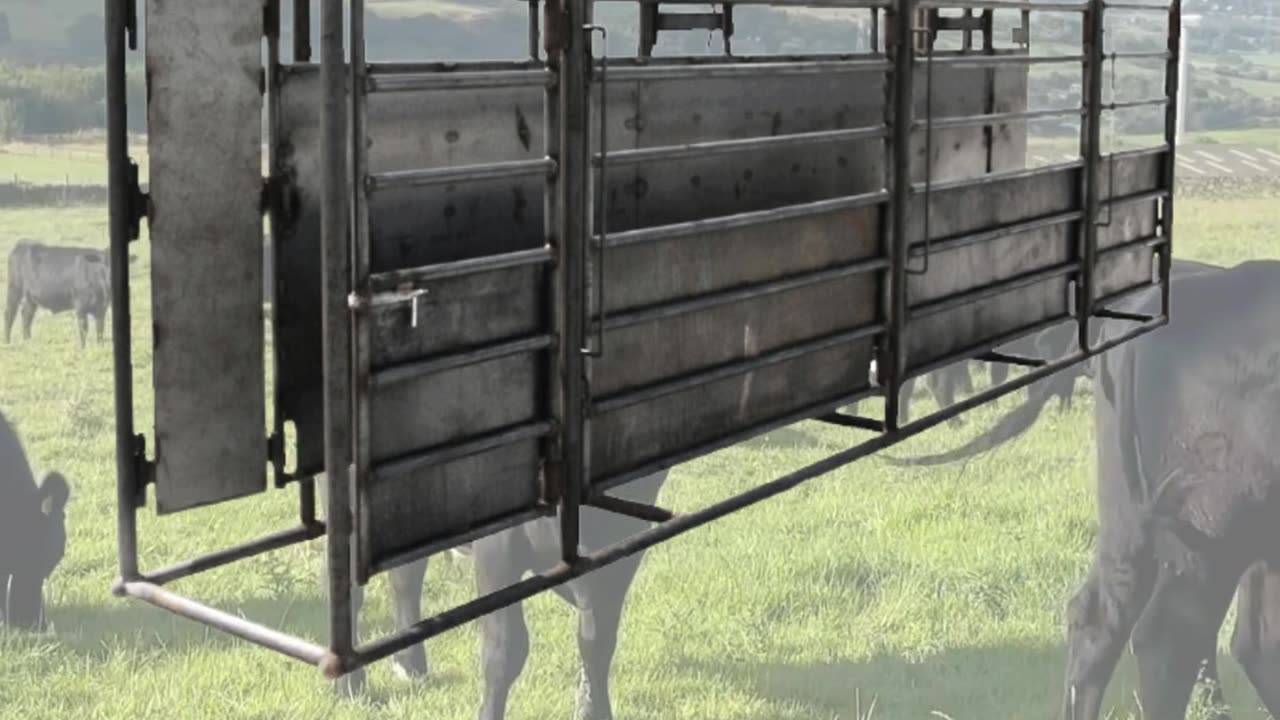 American-Made Adjustable Alleyway