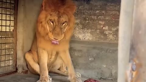 Would you have the courage to do that?