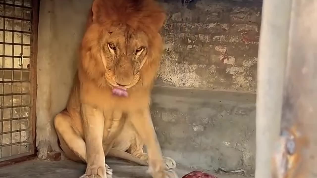 Would you have the courage to do that?