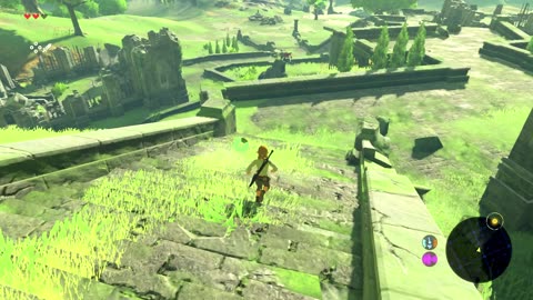 Breath of the Wild Part 1