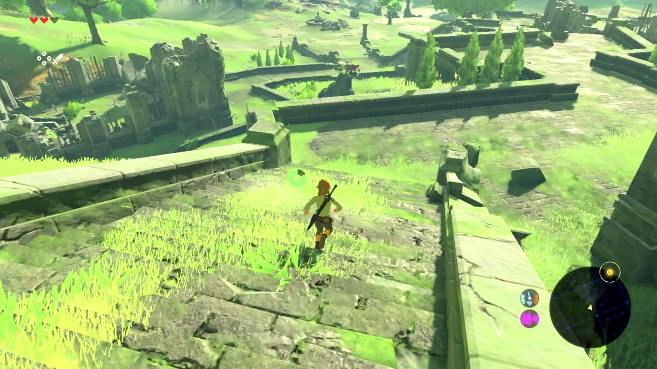 Breath of the Wild Part 1