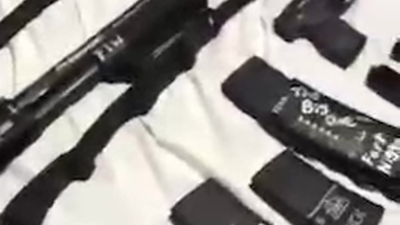 The Minneapolis School Shooter Manifesto