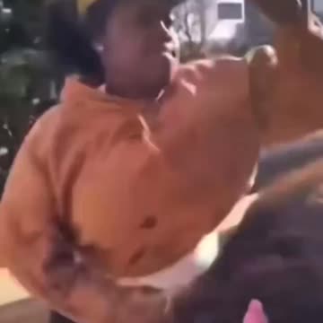 Mega sheboon chimpout against weeping White woman over the n-word