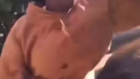 Mega sheboon chimpout against weeping White woman over the n-word
