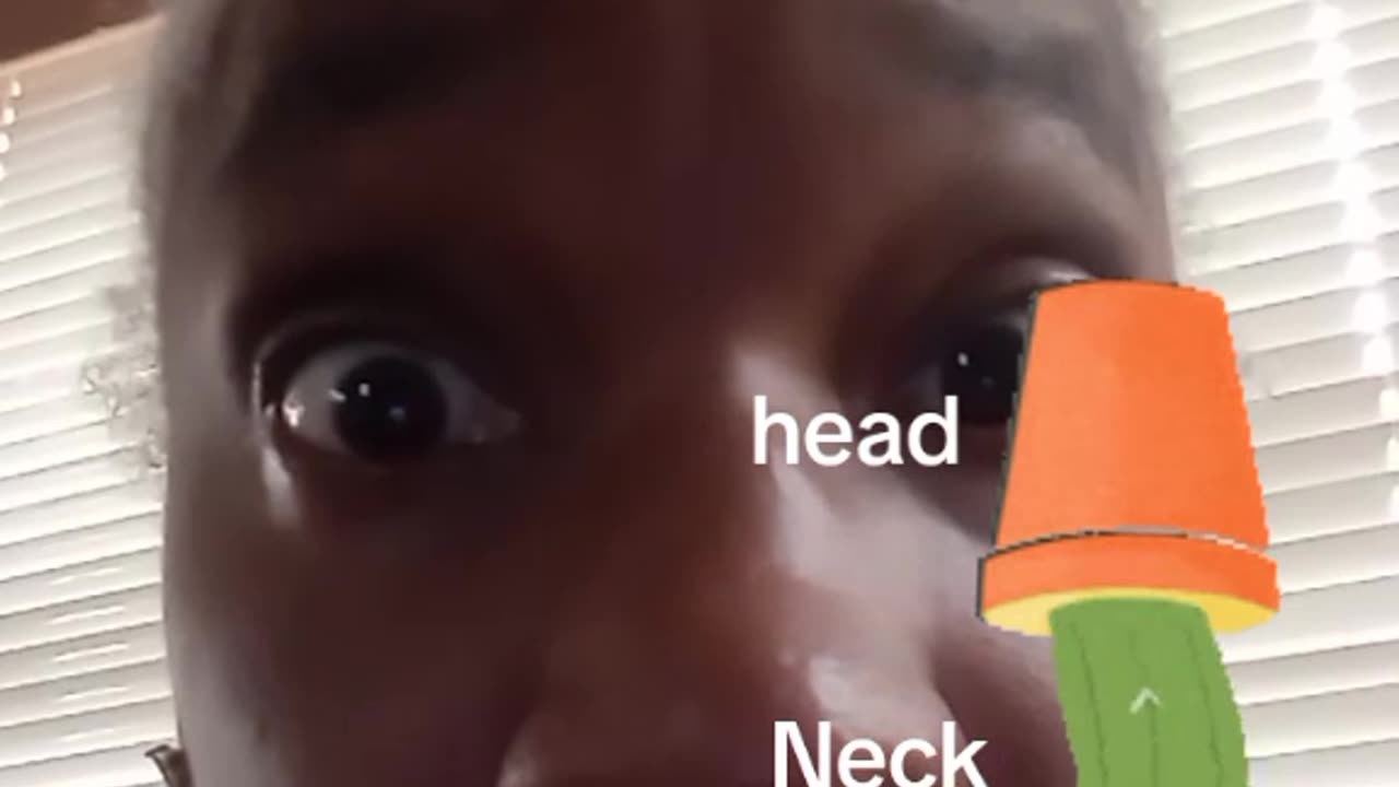 THE VESSEL IS YOUR SHIP