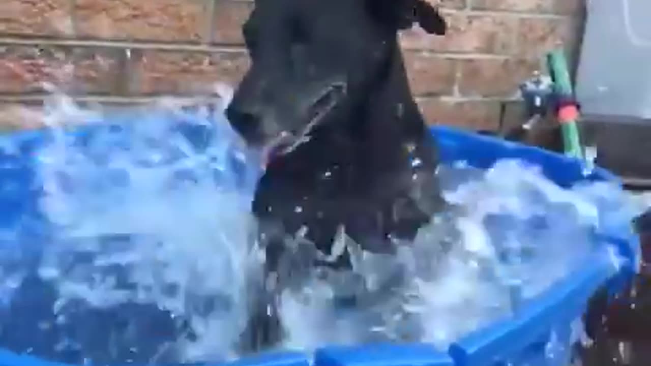 End of summer splash