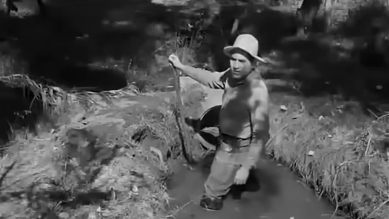 Try and Get Me! 1950