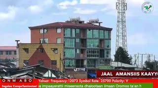 Oduu 𝙶𝚊𝚗𝚊𝚖𝚊 ONM-ABO Fulbaana 2-2025 itti dhiyaadhaa!